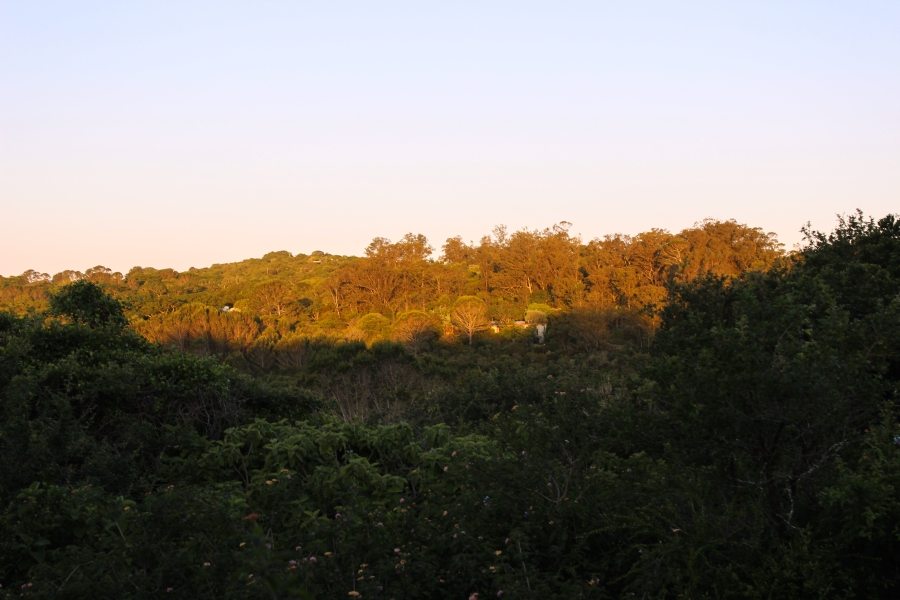 0 Bedroom Property for Sale in Bathurst Eastern Cape
